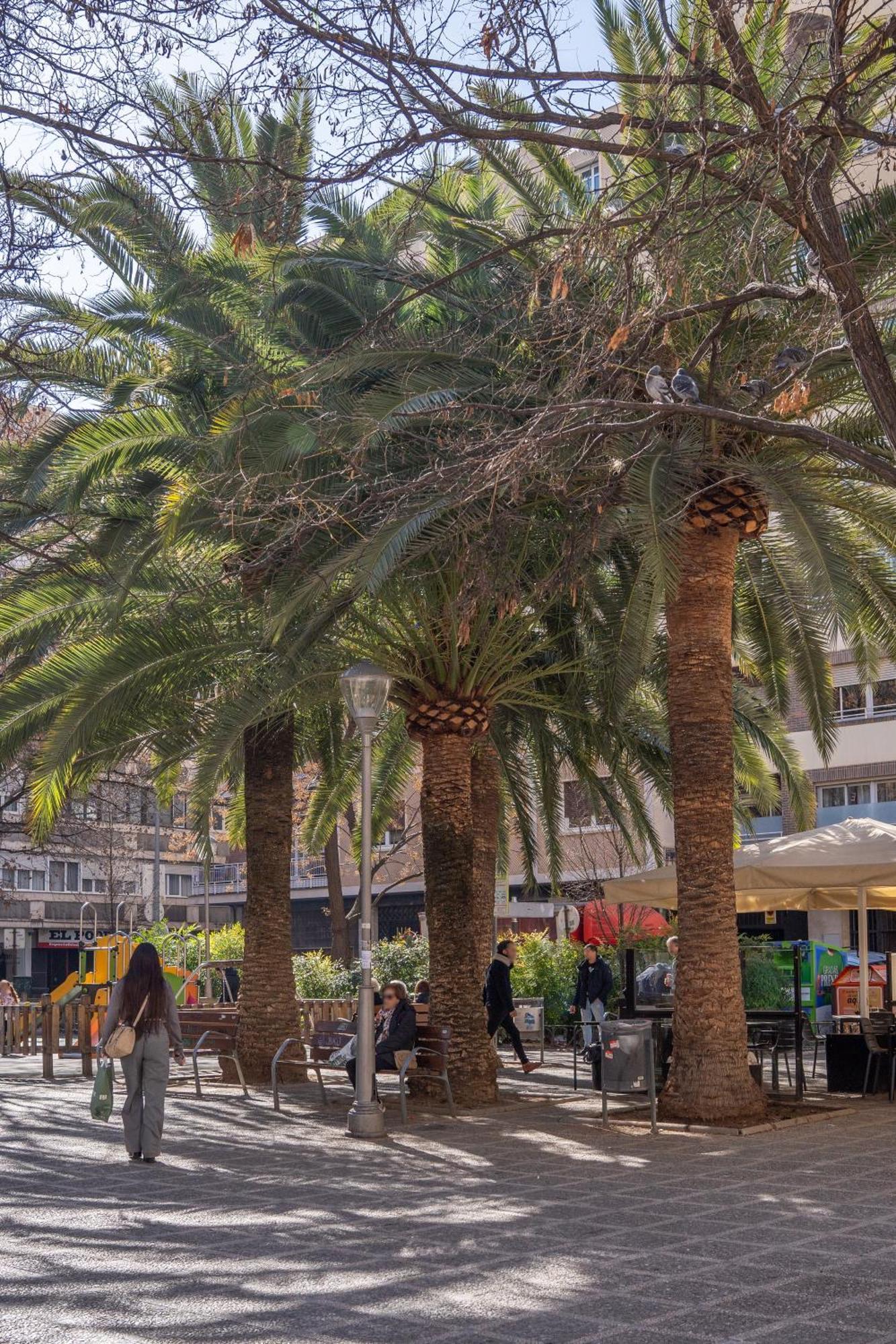 La Plaza, En El Centro Facil Acceso Y Parking Cercano Granada Dış mekan fotoğraf